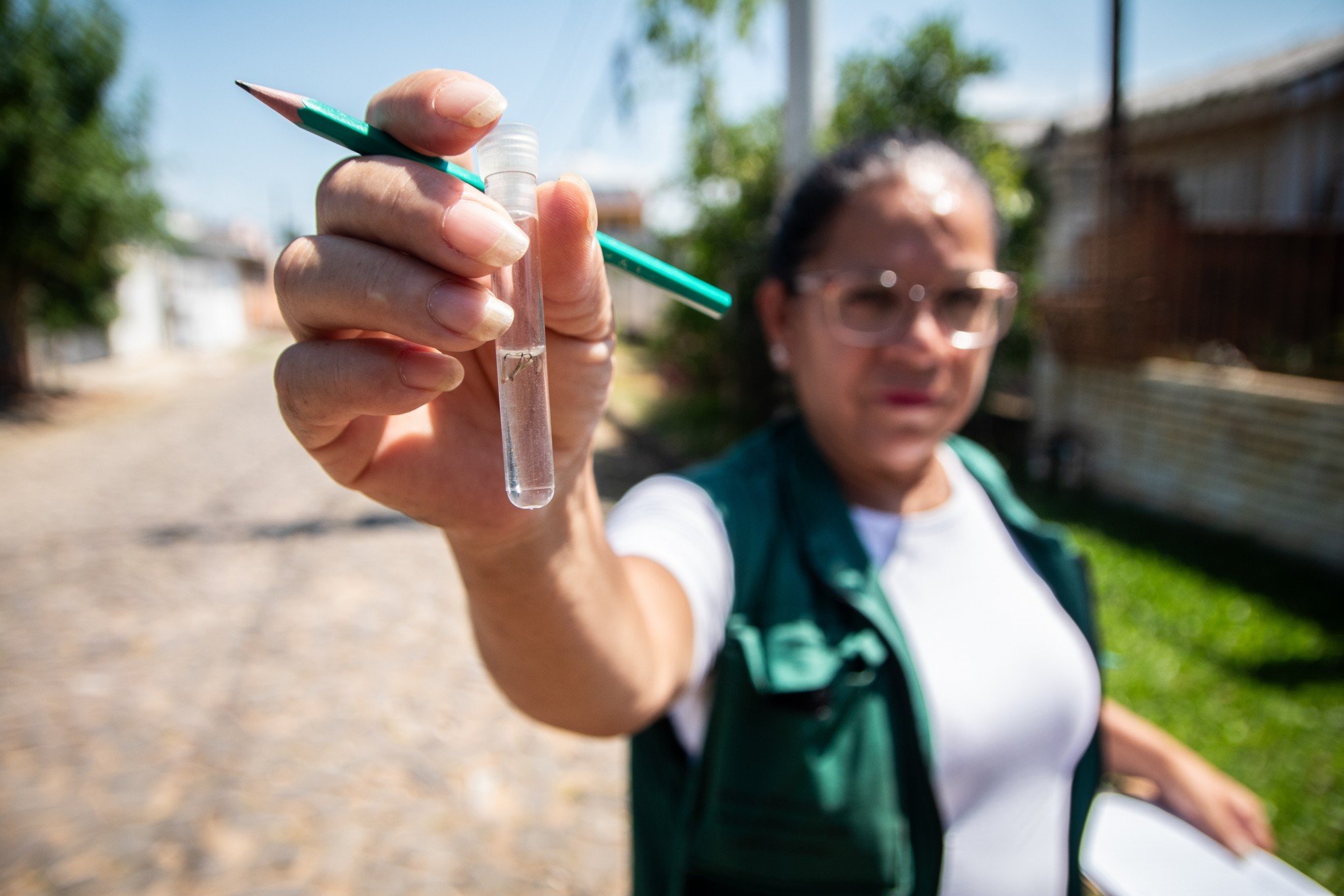 São Leopoldo tem recorde de casos e mortes por dengue em 2024