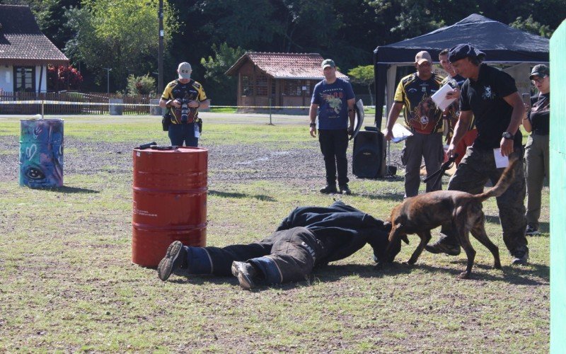 CÃ£es competiram em diferentes modalidades no evento 