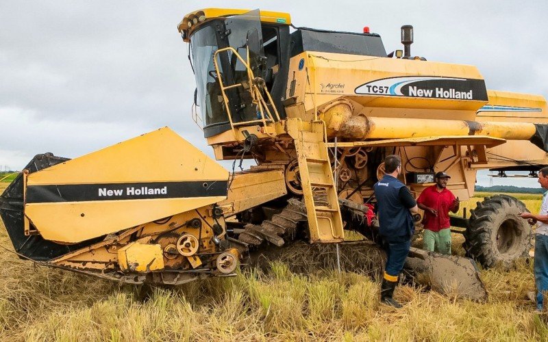 Plantações de arroz comprometidas em Nova Santa Rita 