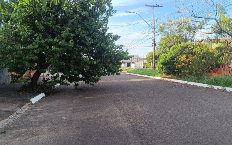 Árvore na Avenida Ulbra, no bairro São José, invade a via 