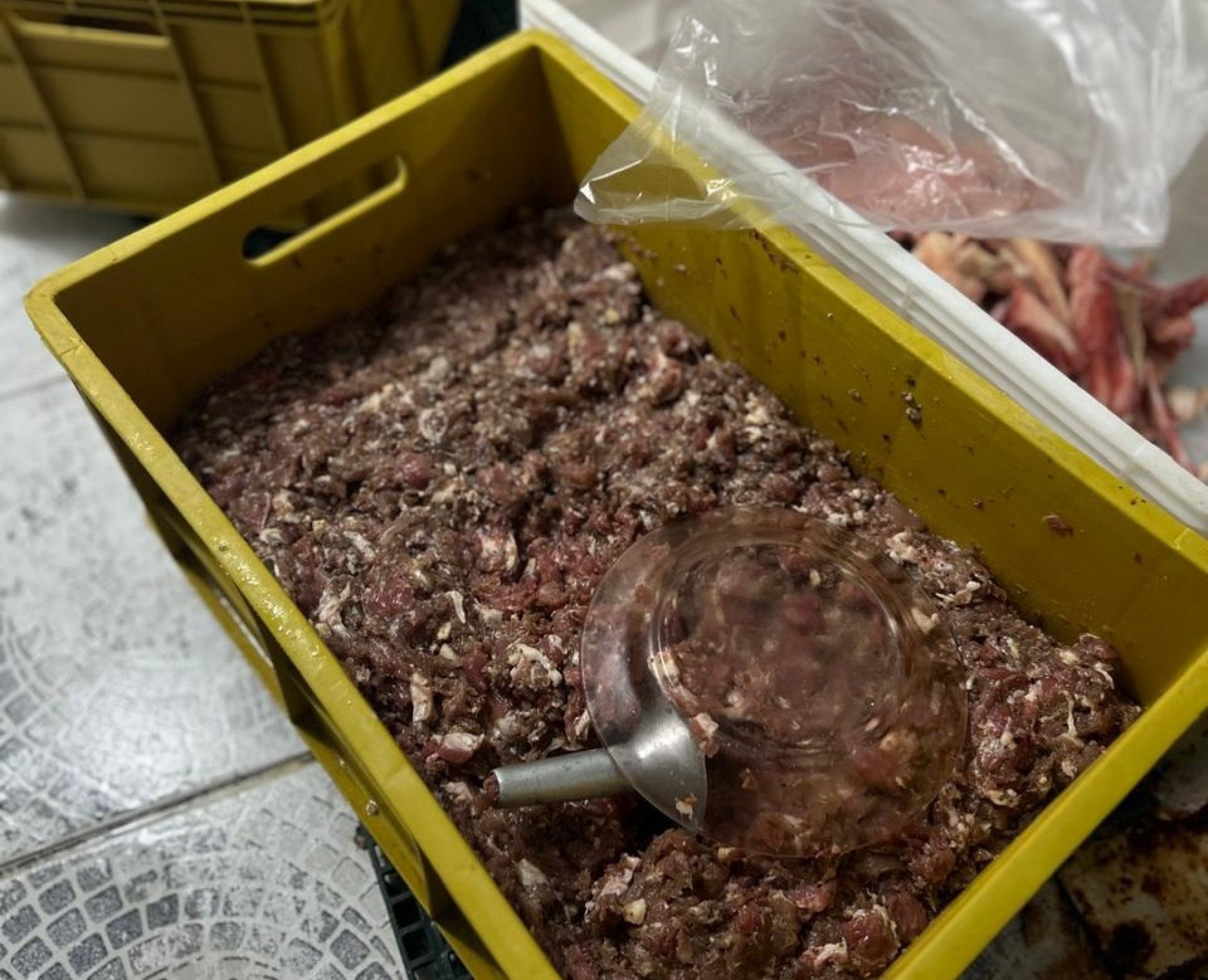 Duas toneladas de carne apreendidas em ação contra fábrica clandestina de hambúrgueres em Canoas