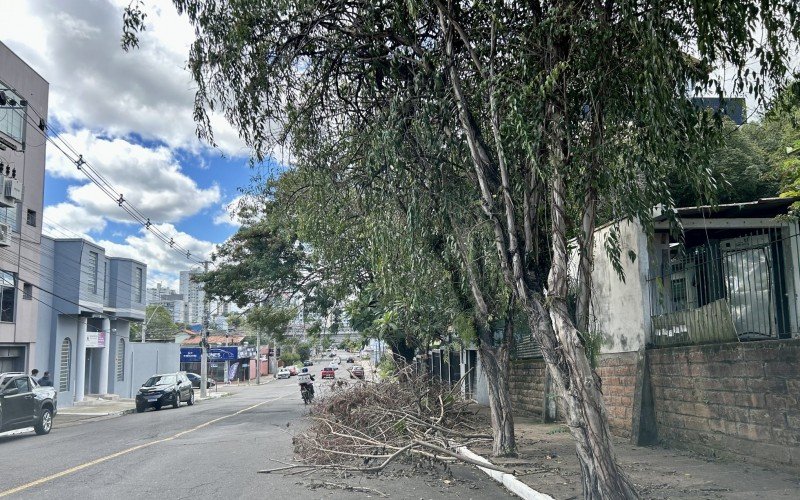 Acúmulo de galhos na Rua Tapes  | abc+