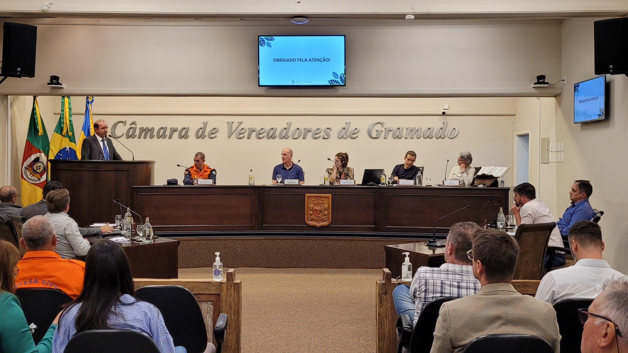 Audiência pública debate corte de árvores e preservação após derrubada de araucária em Gramado