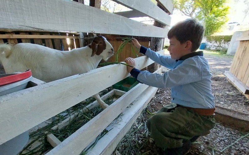 Miguel se encantou com animais no Taquara Campo | abc+