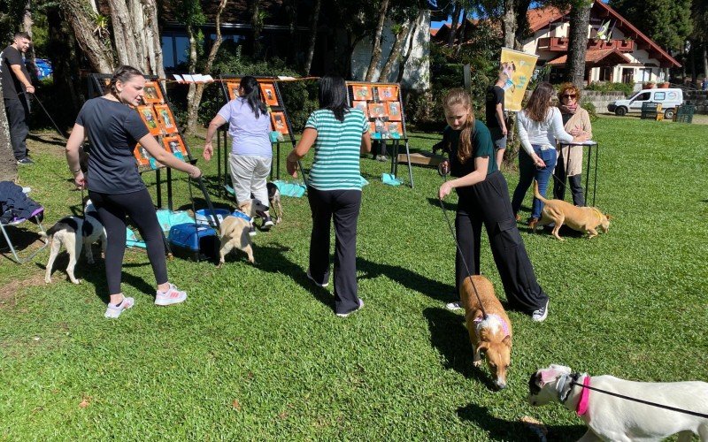 Feira de adoÃ§Ã£o de cÃ£es no Lago Joaquina Rita Bier, em Gramado