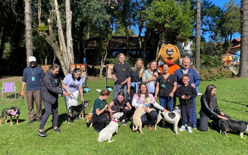 Feira de adoÃ§Ã£o de cÃ£es no Lago Joaquina Rita Bier, em Gramado