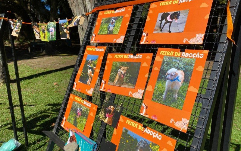 ExposiÃ§Ã£o dos animais disponÃ­veis na feira de adoÃ§Ã£o de cÃ£es no Lago Joaquina Rita Bier, em Gramado