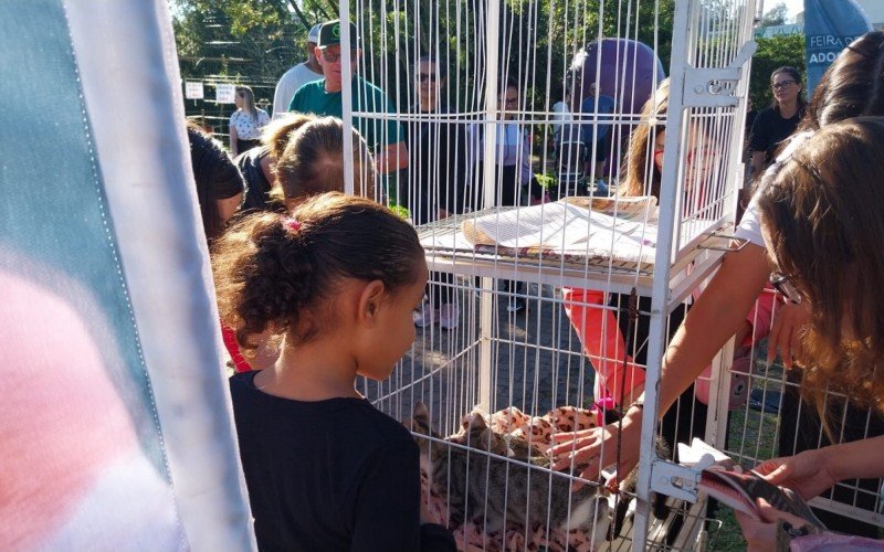 Domingo reuniu tutores e pets no Parcão em Cãominhada