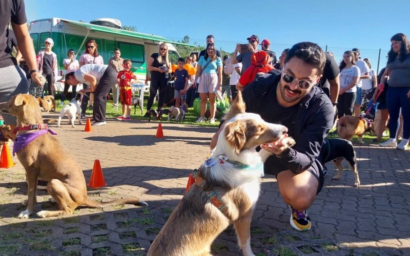 Ipa participou da dança das cadeiras na Cãominhada