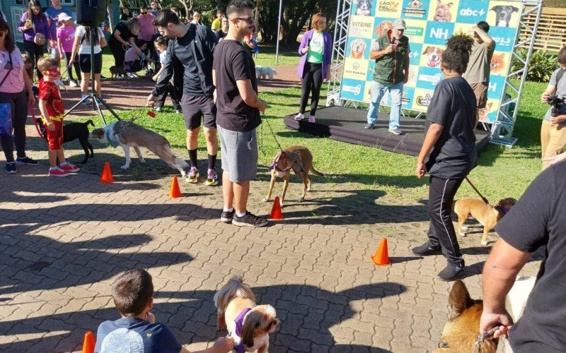 Teve até dança das cadeiras no adestramento de cães na Cãominhada