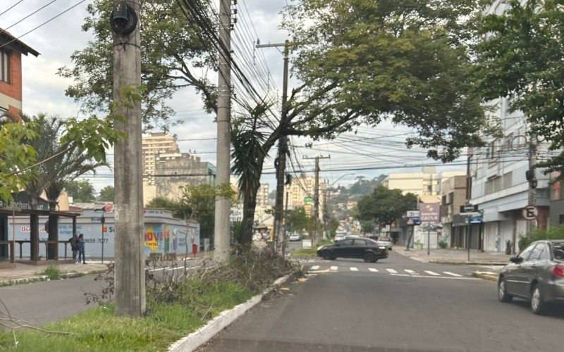 Galhos no canteiro central da Frederico Linck com Caçador | abc+