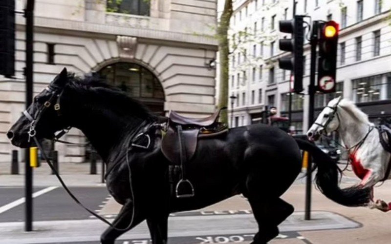Cavalos foram vistos correndo pelo centro de Londres  | abc+