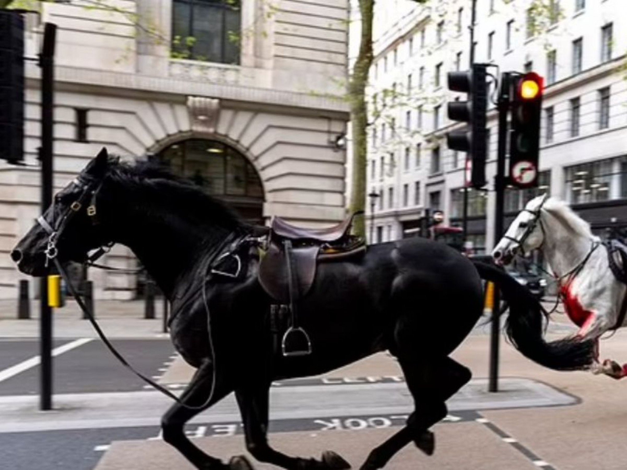 VÍDEO: Cavalos militares fogem e cinco pessoas ficam feridas no centro de Londres