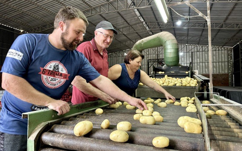 FamÃ­lia Coliselli faz a venda de batata para a Festa da ColÃ´nia