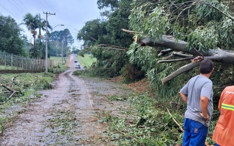 Equipe da Prefeitura de Santa Cruz desobstrui via no bairro João Alves, o mais atingido pela tempestade | abc+