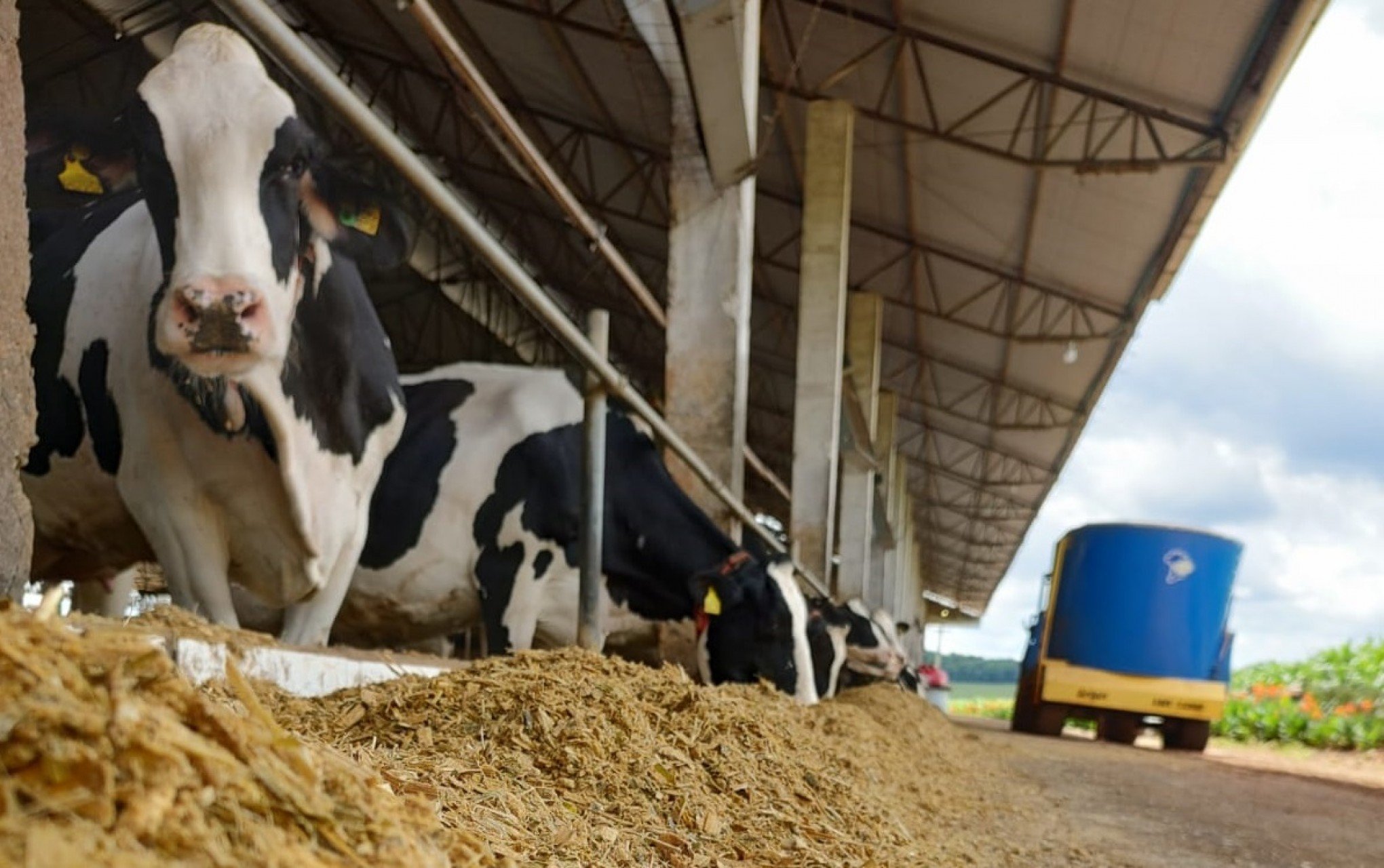 CATÁSTROFE NO RS: Enchente interrompeu captação de 3 milhões de litros de leite no Estado