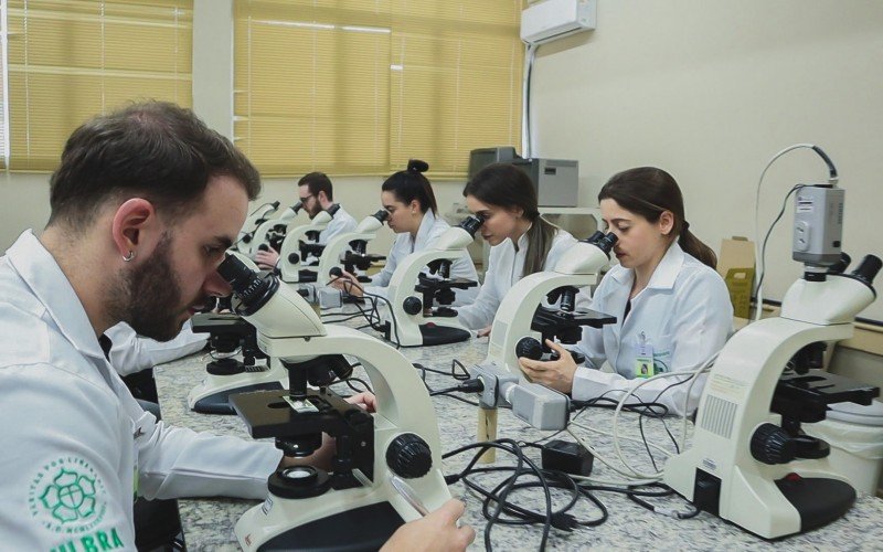 Desde as análises clínicas até a pesquisa e inovação, o estudante tem diferentes opções de atuação