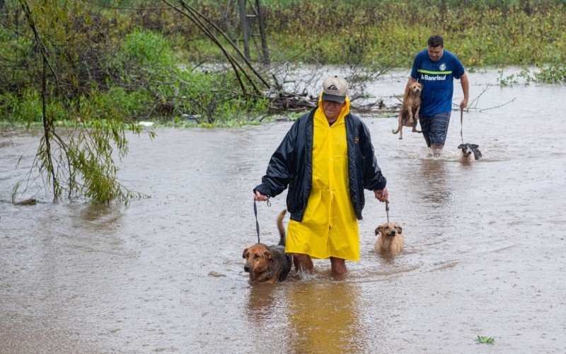 Bem-Estar Animal fez a busca de animais que estavam em áreas de risco