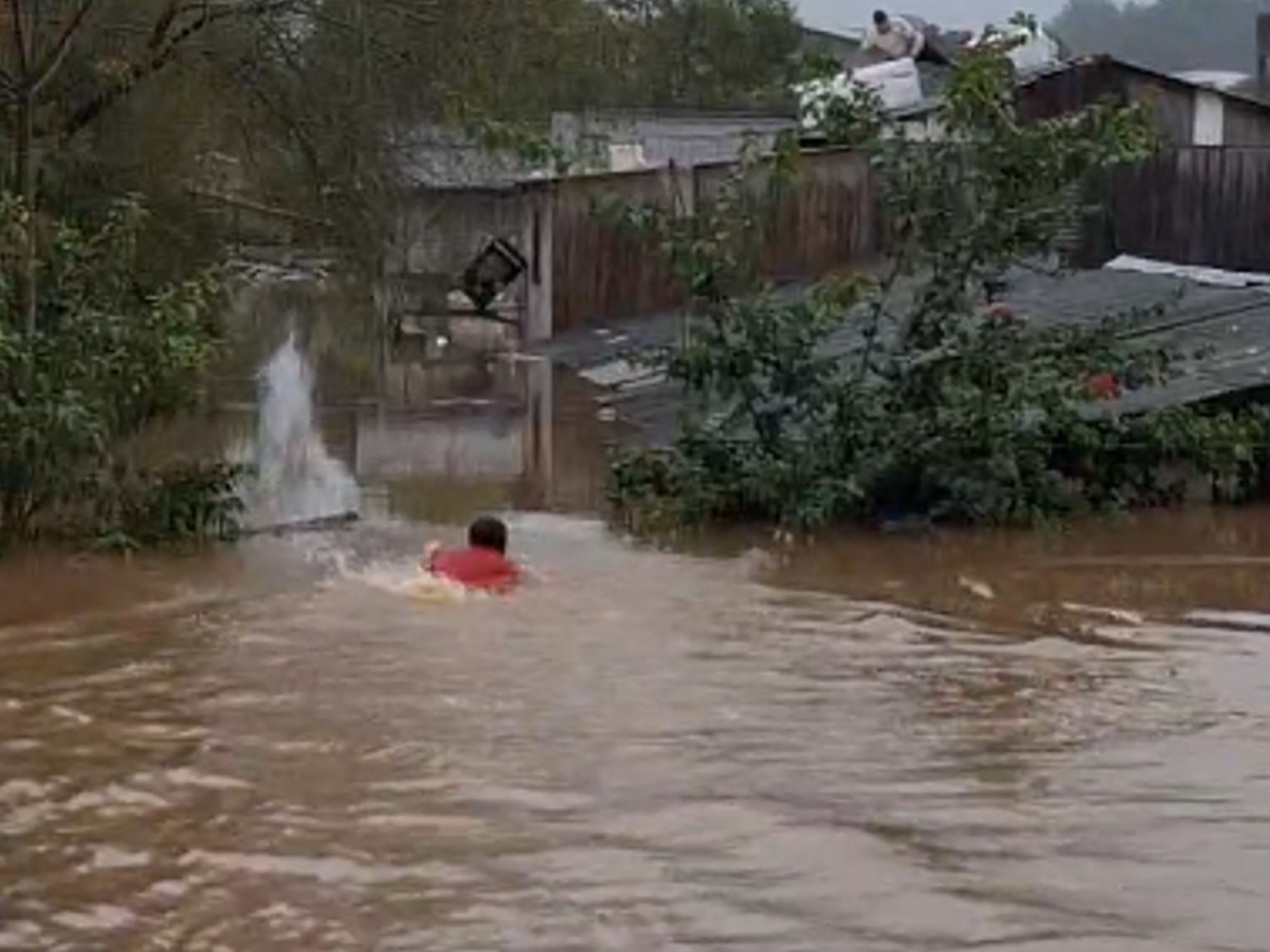 CATÁSTROFE NO RS: Morador nada em meio à enchente às margens da Avenida dos Municípios; veja a situação