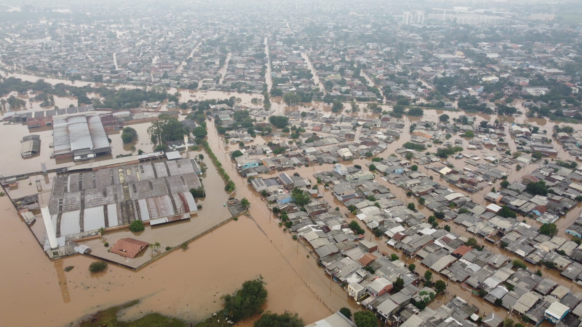 CATÁSTROFE NO RS: Saque calamidade e renegociação de dívidas estão entre as medidas bancárias para afetados pela enchente