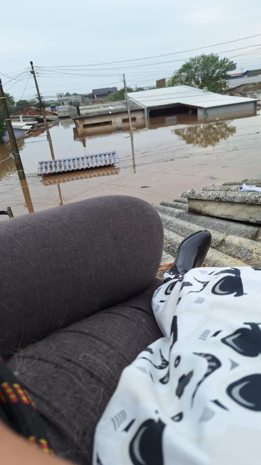 CATÁSTROFE NO RS: "A água está subindo e não há previsão de resgate", diz jovem no telhado