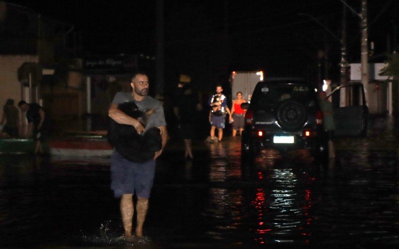 Voluntários resgatam cachorros no bairro Santo Afonso | abc+