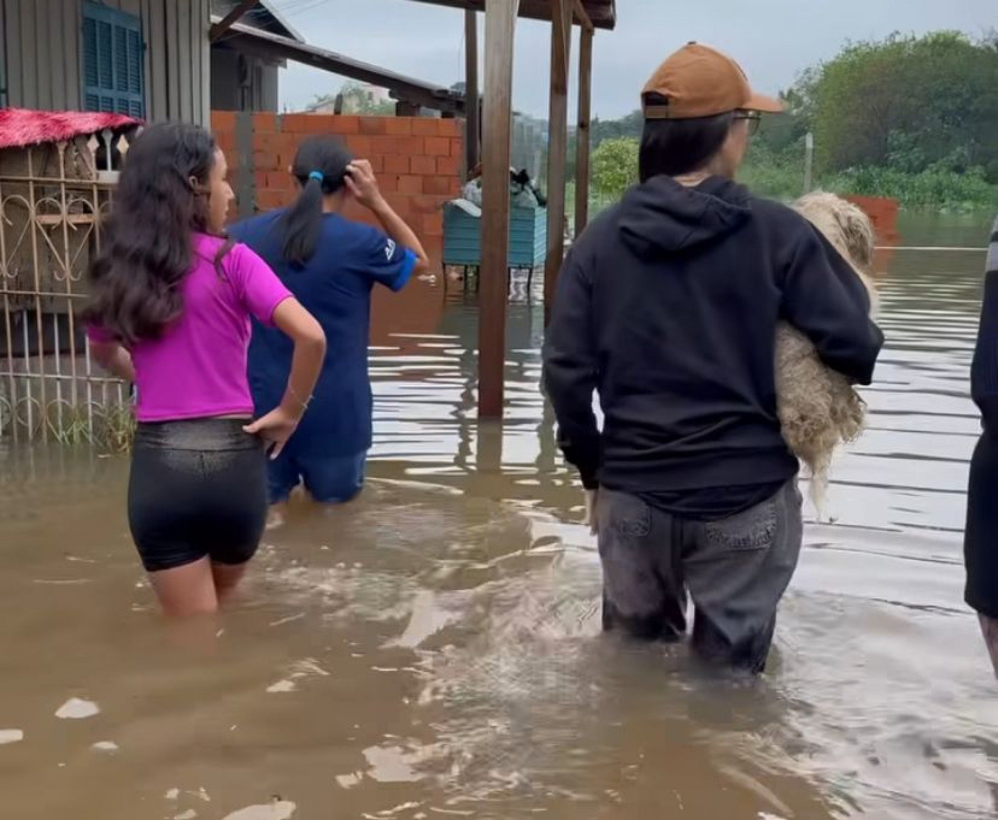 CATÁSTROFE NO RS: Campo Bom precisa de lares temporários para animais resgatados nas enchentes
