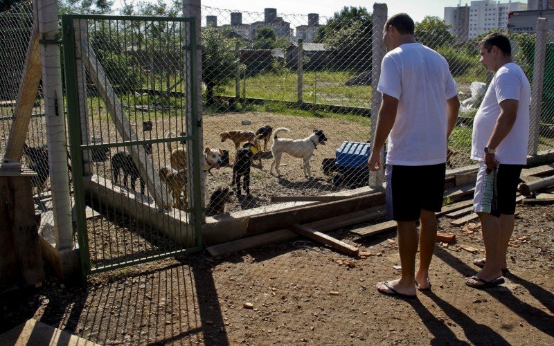 Tutores tem o prazo de dez dias corridos para reivindicar seus pets perdidos. A contagem iniciou nesta terça-feira (4). | abc+