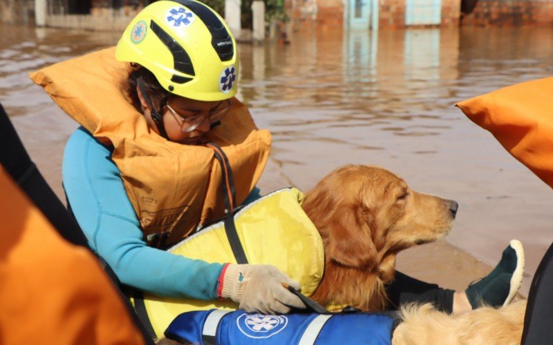 Grupo de Resgate Animal de Belo Horizonte (GRABH) tiveram que ser resgatados enquanto salvavam cachorros