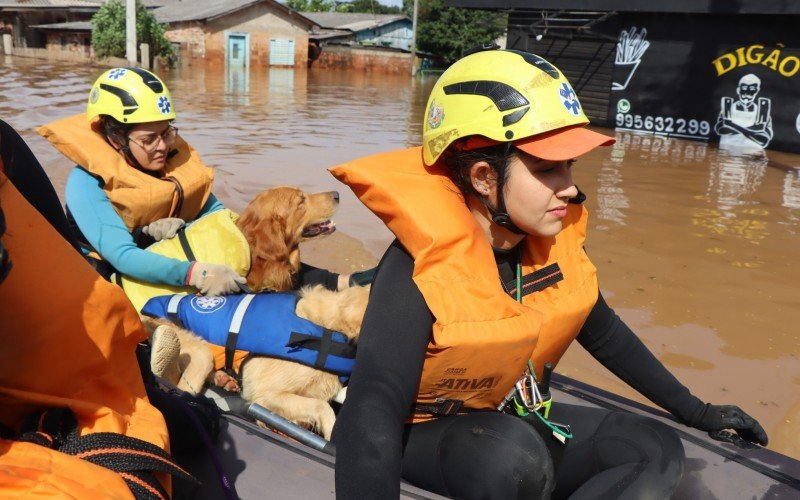 Grupo de Resgate Animal de Belo Horizonte (GRABH) tiveram que ser resgatados enquanto salvavam cachorros