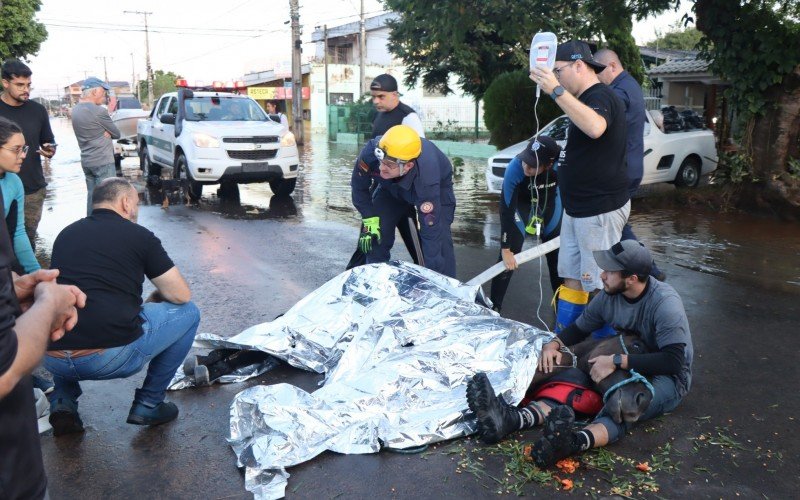 Cavalo recebe os primeiros socorros na rua México, após ser resgatado da enchente