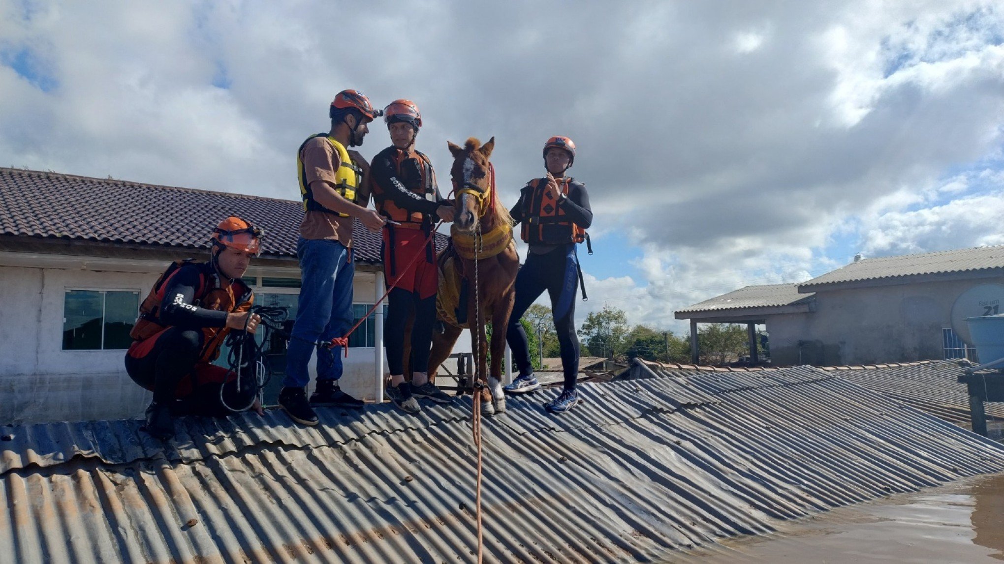 CATÁSTROFE NO RS: Cavalo resgatado sobre telhado de casa inundada em Canoas está em hospital veterinário; confira imagens do resgate