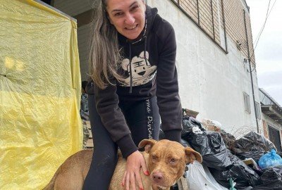 Eliane encontrou sua companheira, Luna, no abrigo temporário em São Leopoldo  | abc+