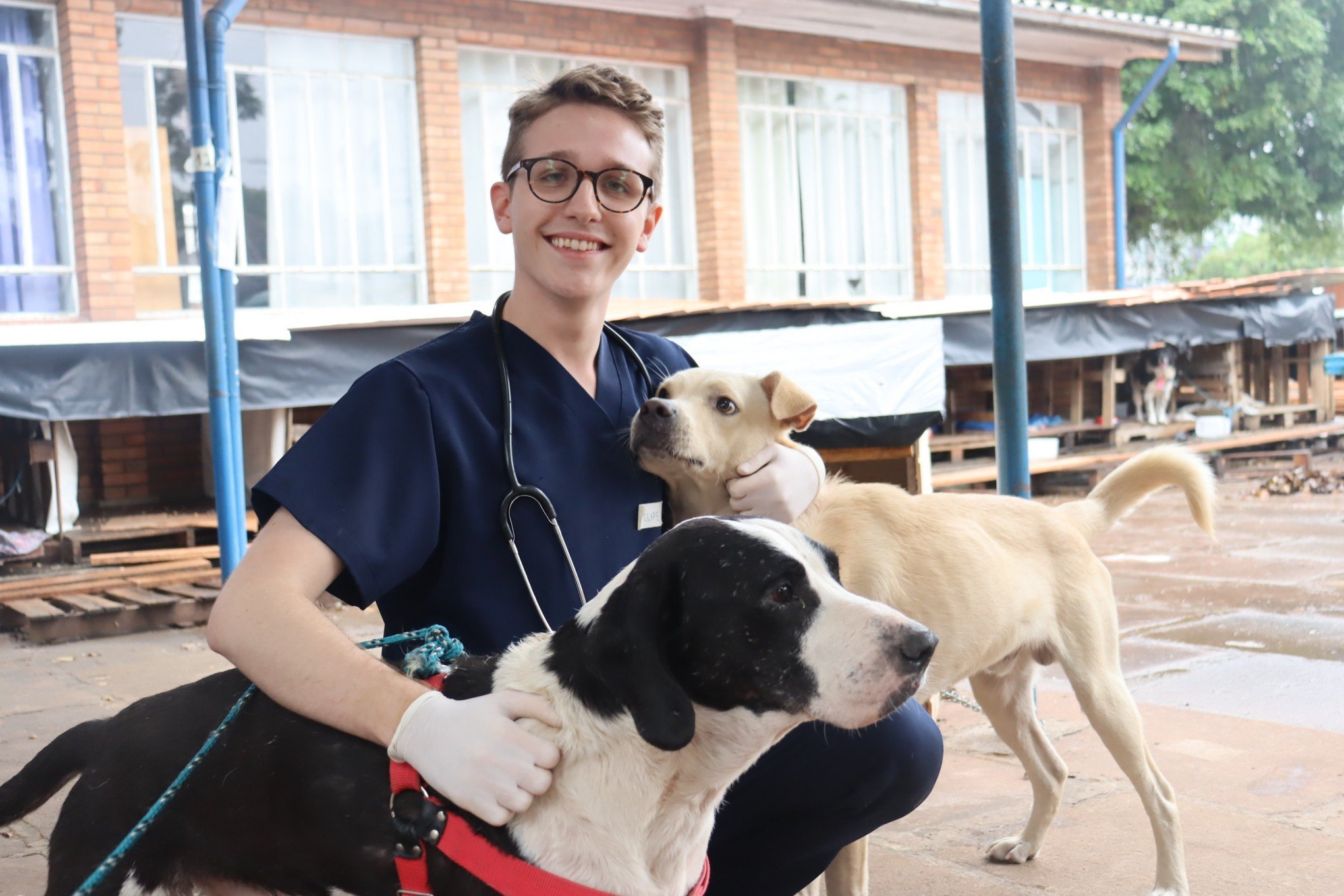 Estudante de Medicina VeterinÃ¡ria, Felipe Cavalli, 20 anos, veio de Curitiba (PR), para ser voluntÃ¡rio no Hospital VeterinÃ¡rio de Campanha