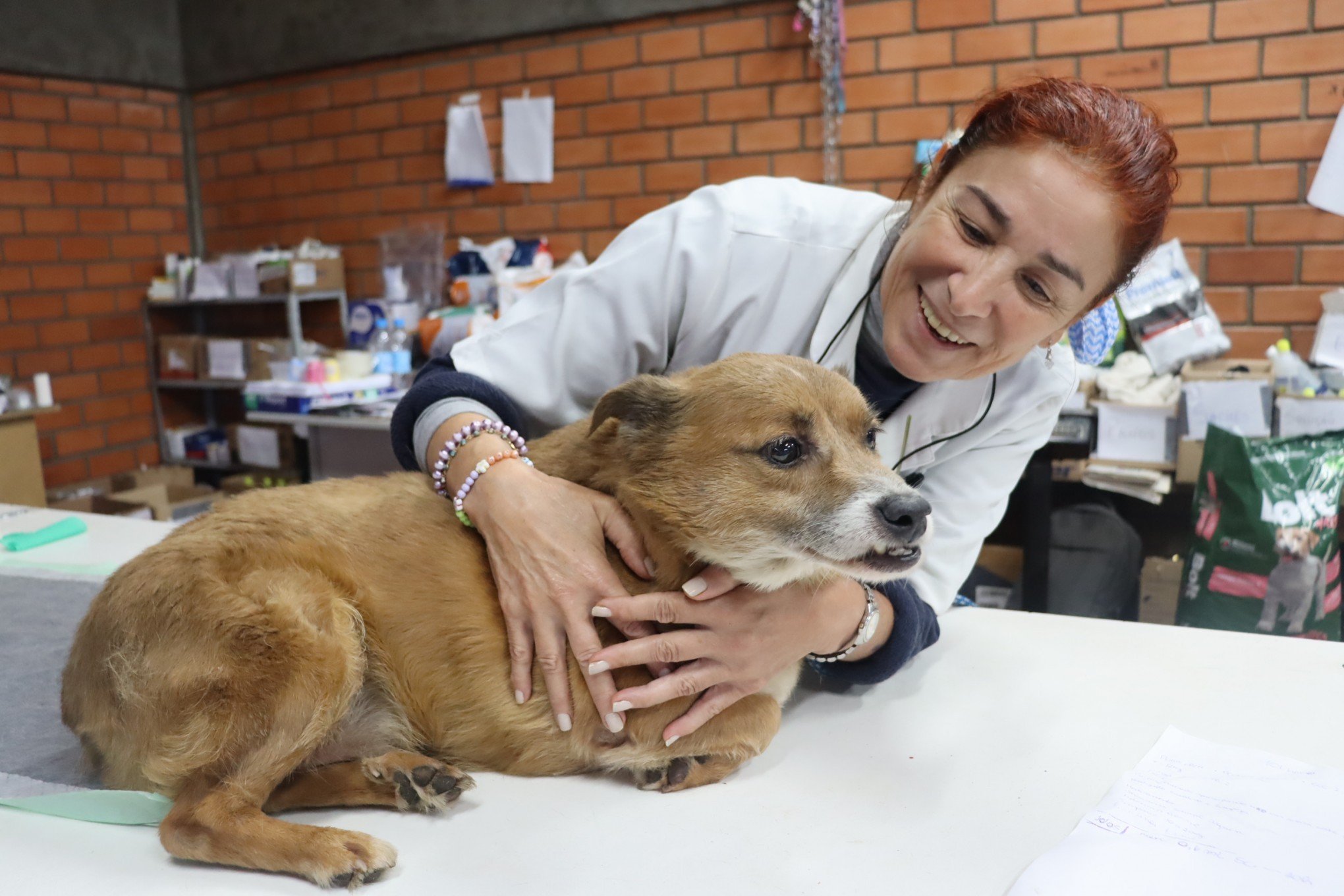 Berenice Rodrigues Ã© veterinÃ¡ria voluntÃ¡ria no Hospital VeterinÃ¡rio de Campanha