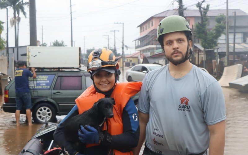 Nat&aacute;lia Moreira e Matheus Correa, conhecido como Guru dos Bichos, fazem parte do Grupo de Resgate Animal de Belo Horizonte (GRA-BH) que est&aacute; em Novo Hamburgo desde a semana passada ajudando a salvar vidas de cachorros, gatos, cavalos, porcos e o que mais for preciso em meio &agrave; maior enchente da hist&oacute;ria. Conforme Nat&aacute;lia, j&aacute; s&atilde;o mais de 150 animais resgatados. &quot;N&oacute;s sa&iacute;mos com a ideia de ir para um local onde sabemos que tem animais precisando de ajuda, e pelo caminho encontramos muitos outros. Infelizmente, h&aacute; muitos mortos tamb&eacute;m&quot;, comenta a socorrista.