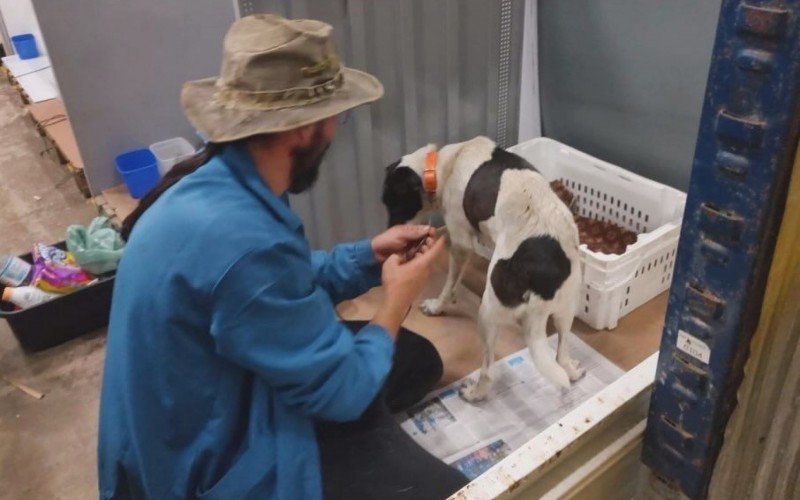 animais abrigados em São Leopoldo durante cheia histórica