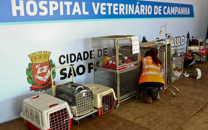 Estrutura disponibiliza triagem, atendimentos e cirurgias aos animais