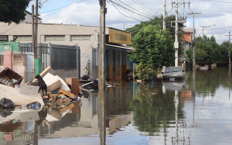 Ruas voltam a alagar no bairro Santo Afonso | abc+