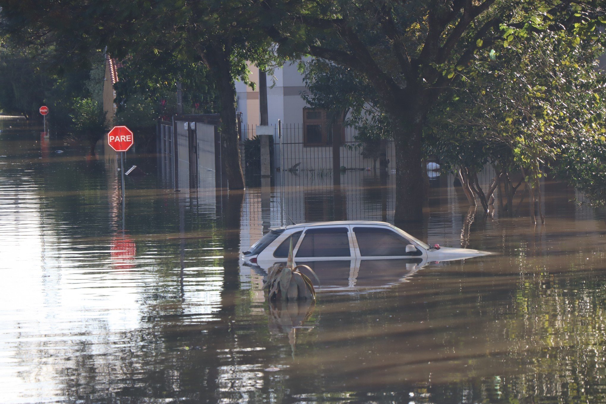 IPVA: Proprietários que perderam veículos na enchente poderão pedir reembolso de parte do imposto