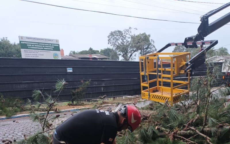 Corte de árvores após queda de barreira em Canela