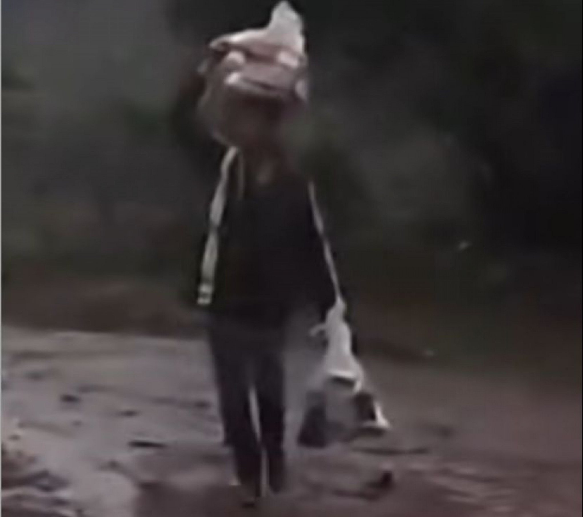 CATÁSTROFE NO RS: Menino de 11 anos filma pai voltando com doações abaixo de chuva e emociona internautas; veja vídeo