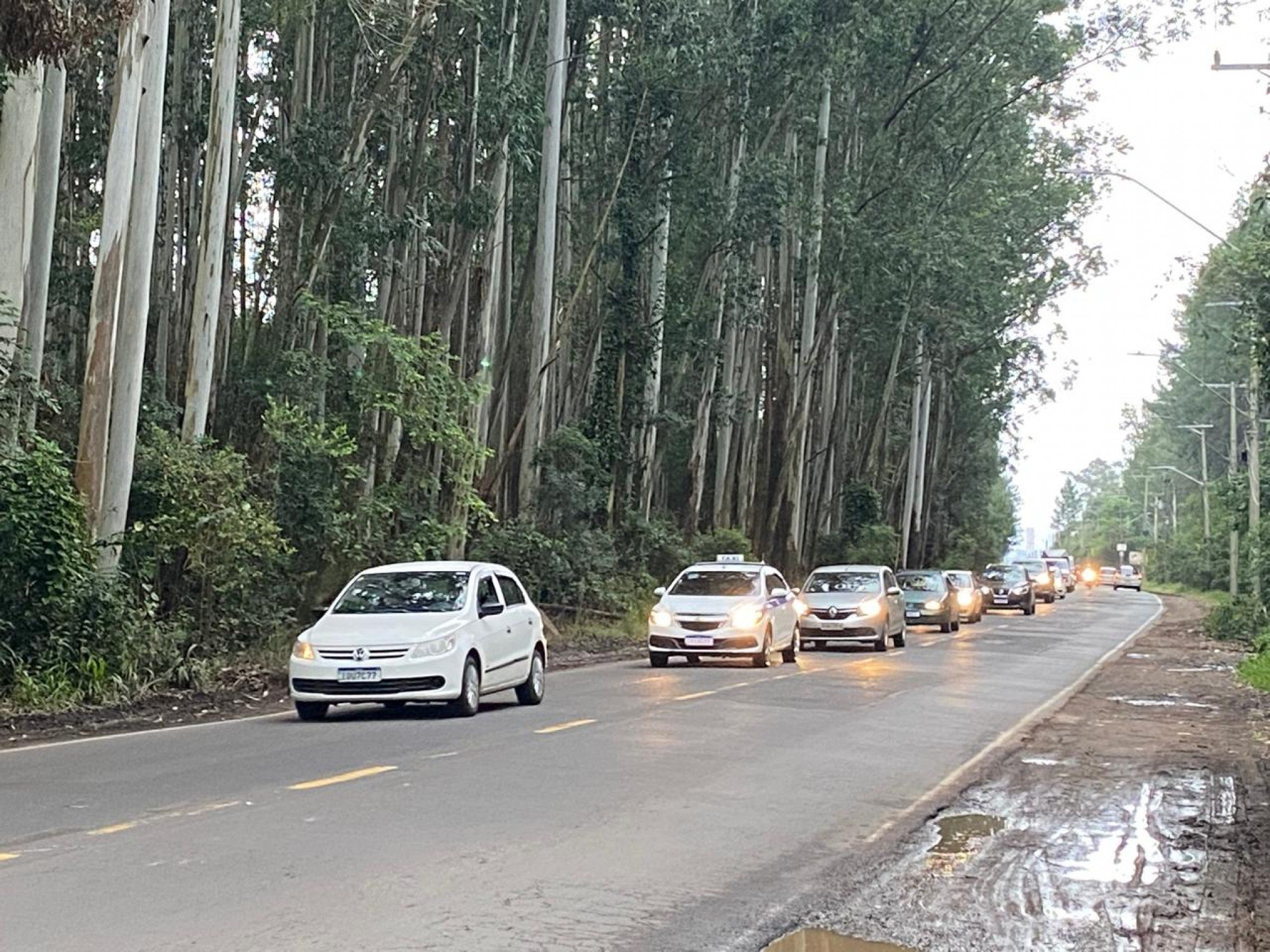 Quando o sol deve retornar à Serra gaúcha? Confira como fica o tempo nos próximos dias
