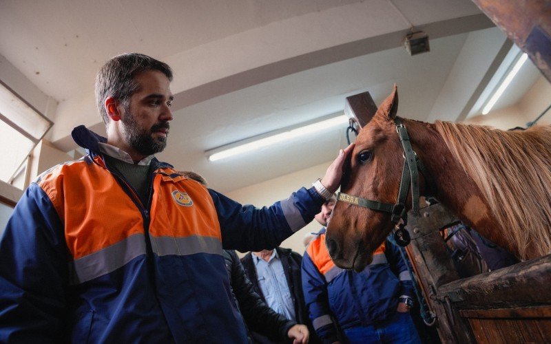 Eduardo Leite visitou curso de Veterinária da Ulbra, onde está o cavalo Caramelo | abc+