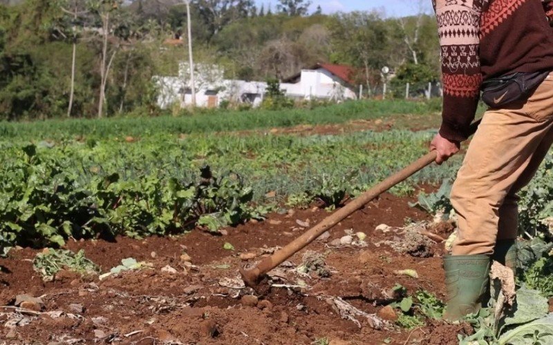 Medidas adotadas pelo Banco Central visam minimizar os prejuízos causados pela enchente aos agricultores do RS | abc+