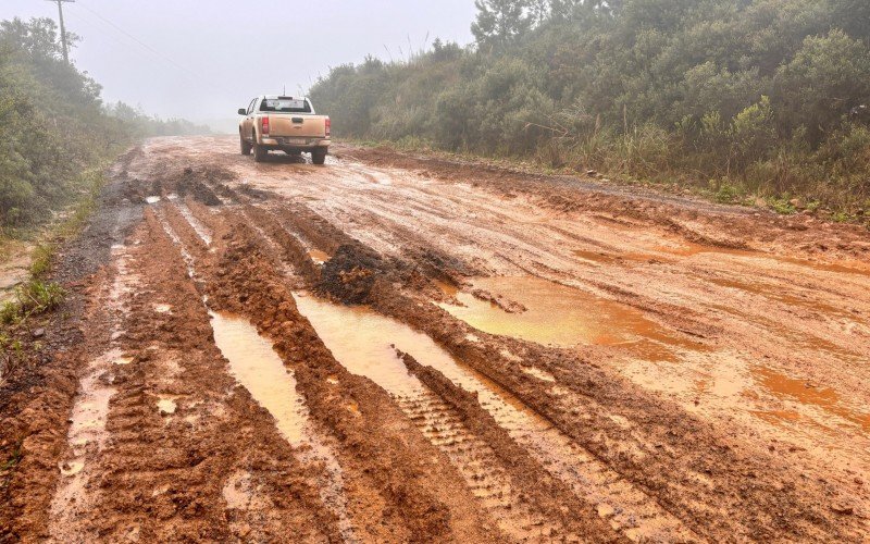 Perdas em São Francisco de Paula beiram R$ 280 milhões por causa das chuvas