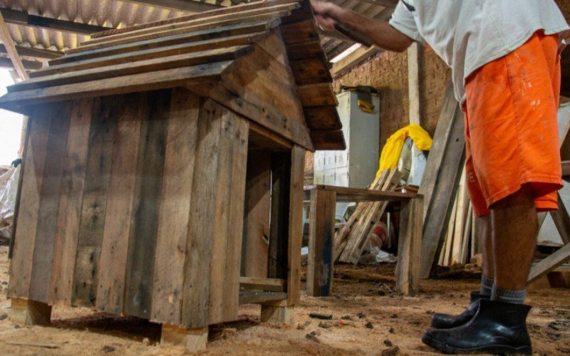 Casinhas foram enviadas para o Centro de Bem-Estar Animal, para a Ulbra e outros abrigos de animais