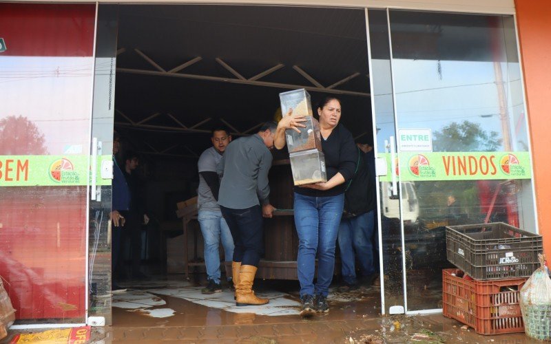 Fruteira foi invadida por lamaçal que desceu da RS-240 rumo a área urbana de Capela de Santana