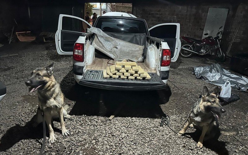 Cães farejadores encontraram droga em Saveiro | abc+
