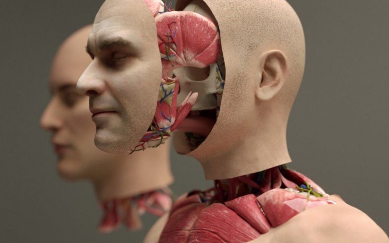 Empresa BrainBridge promete fazer o primeiro transplante de cabeça, de rosto e couro cabeludo, além da bandana computadorizada | abc+